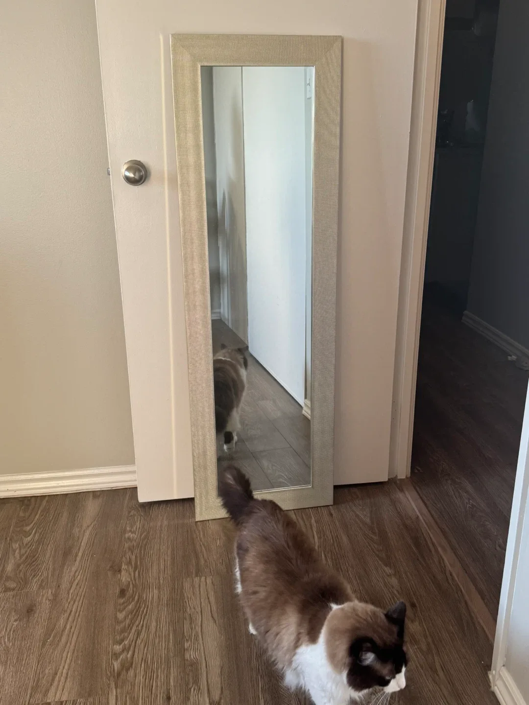 Full Length Standing Mirror image indicator(3)