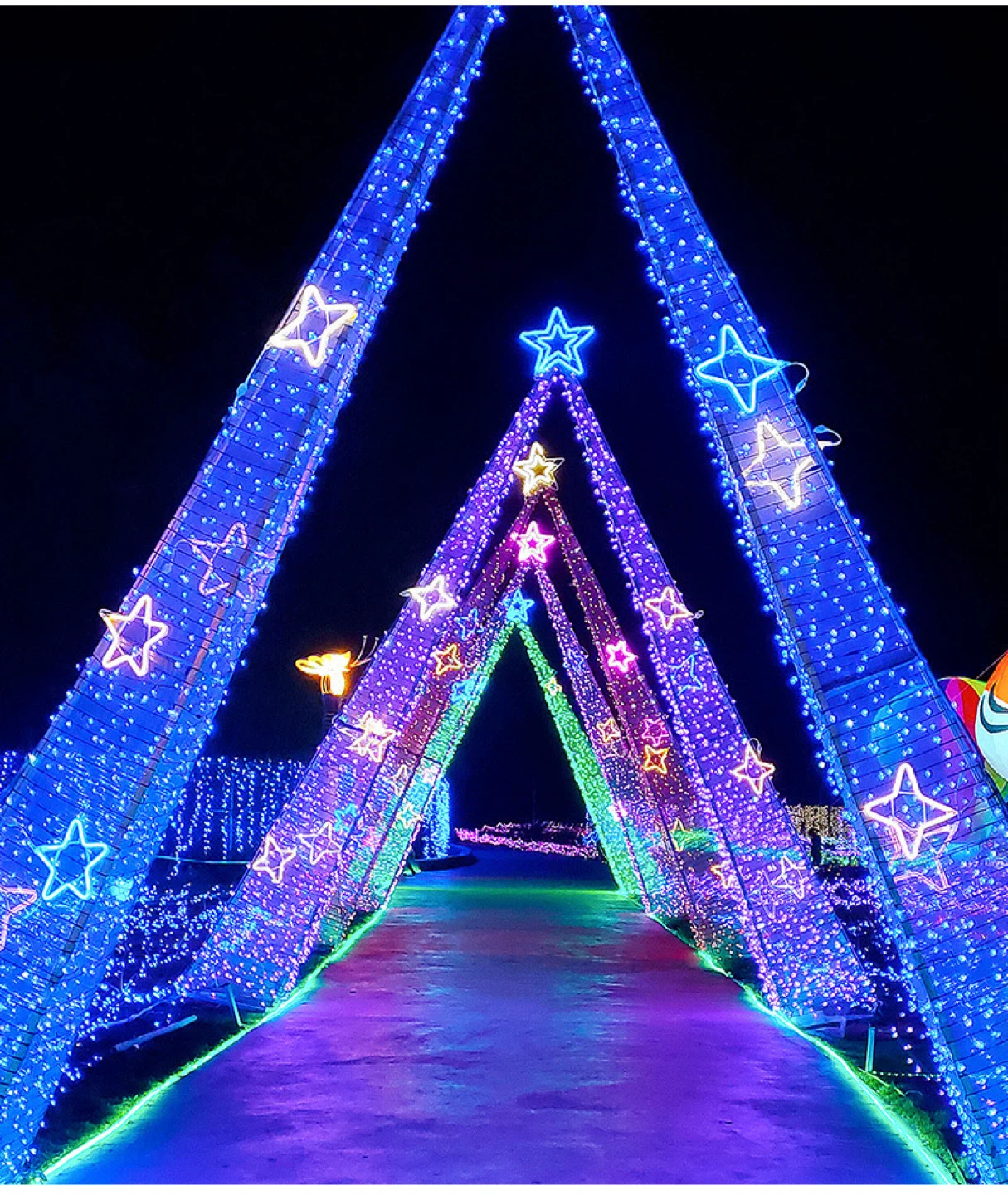 String Lights - Colourful - photo 4