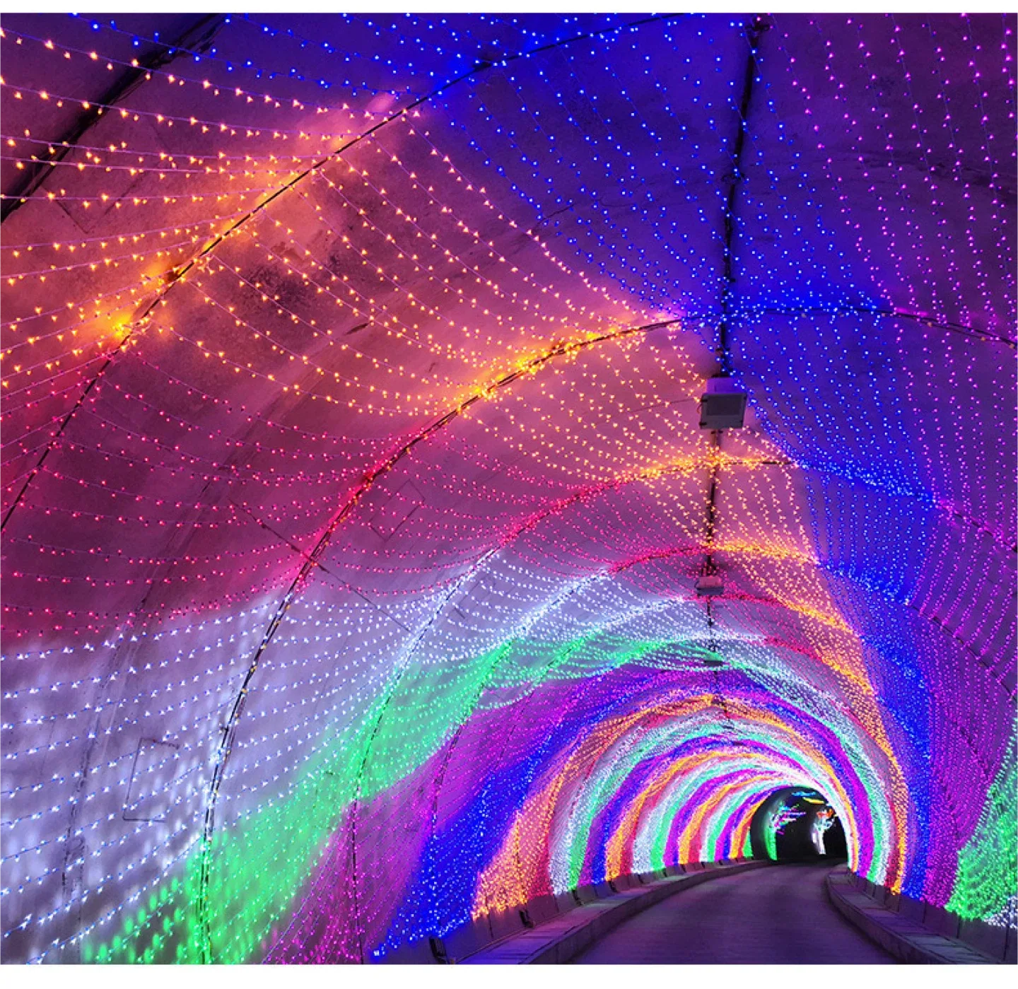 String Lights - Colourful image indicator(2)