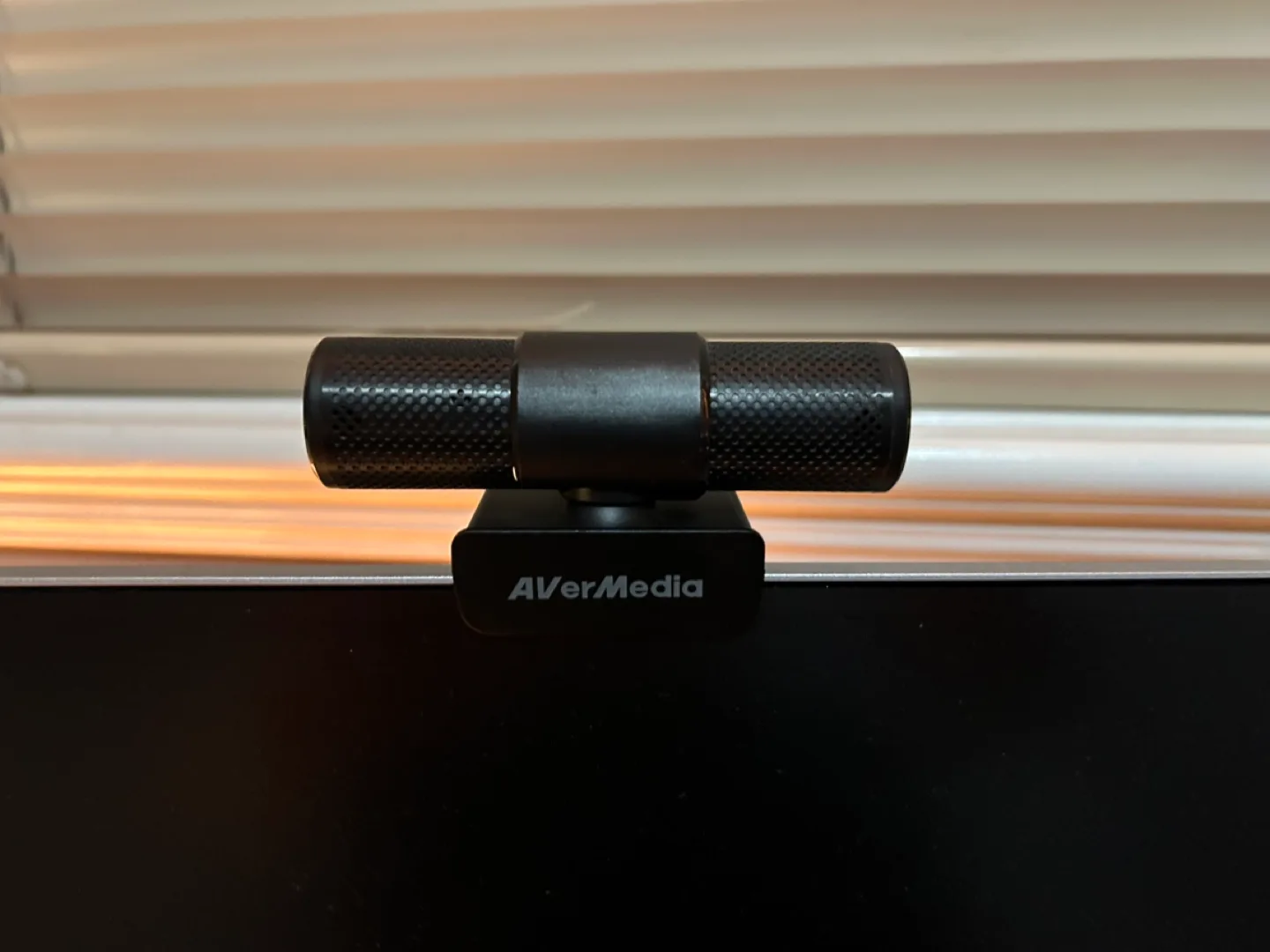 Avermedia Webcam