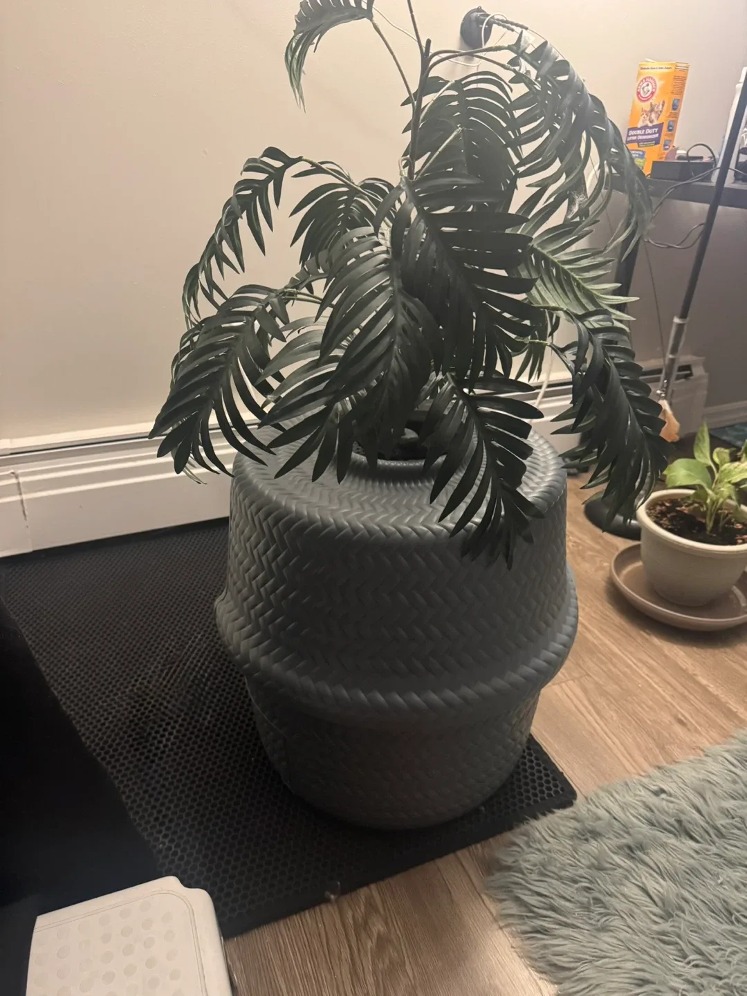 Exquisicat Hooded Cat Litter Box with Plant image indicator(2)