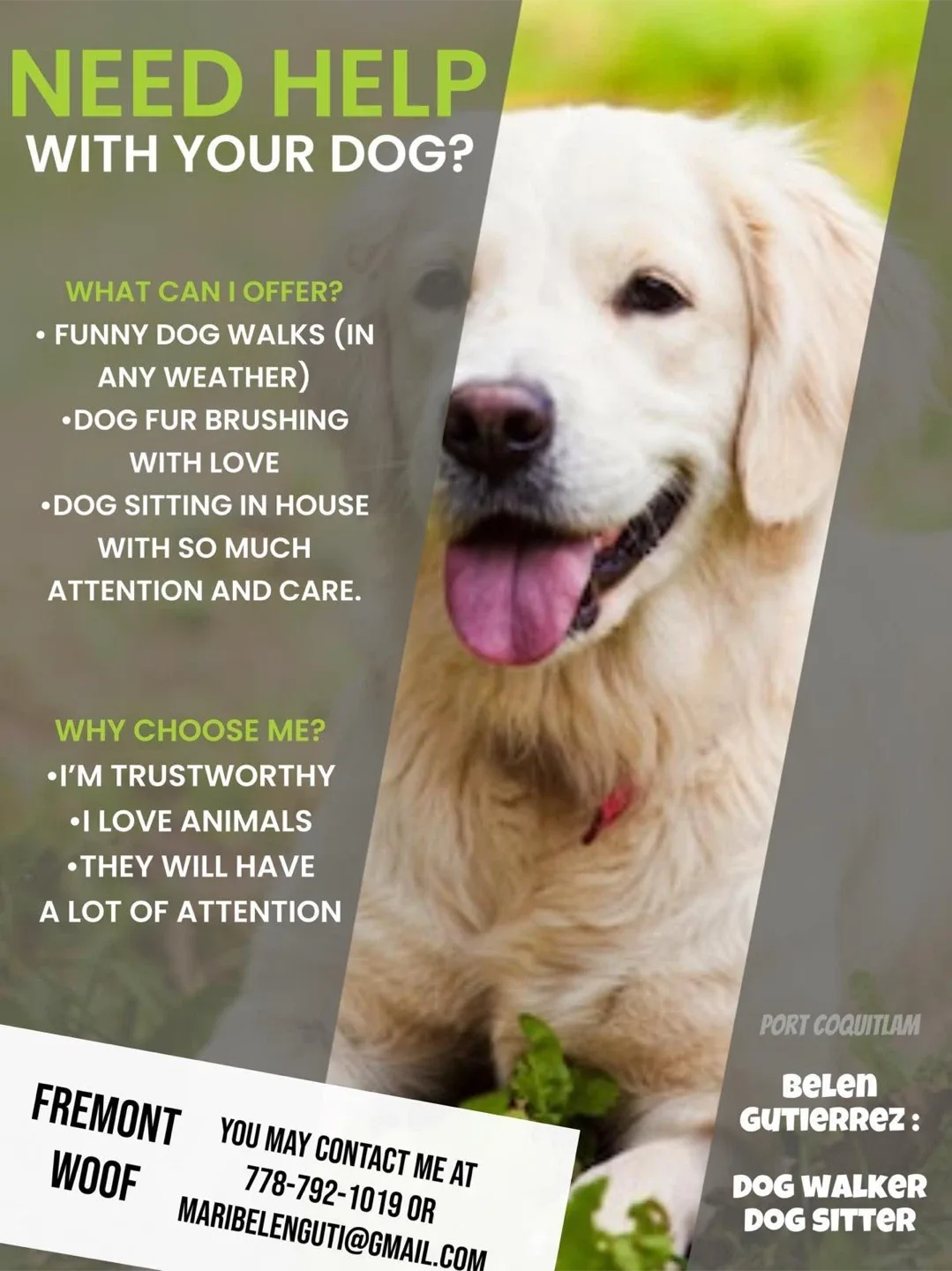 Dog Walking in Fremont