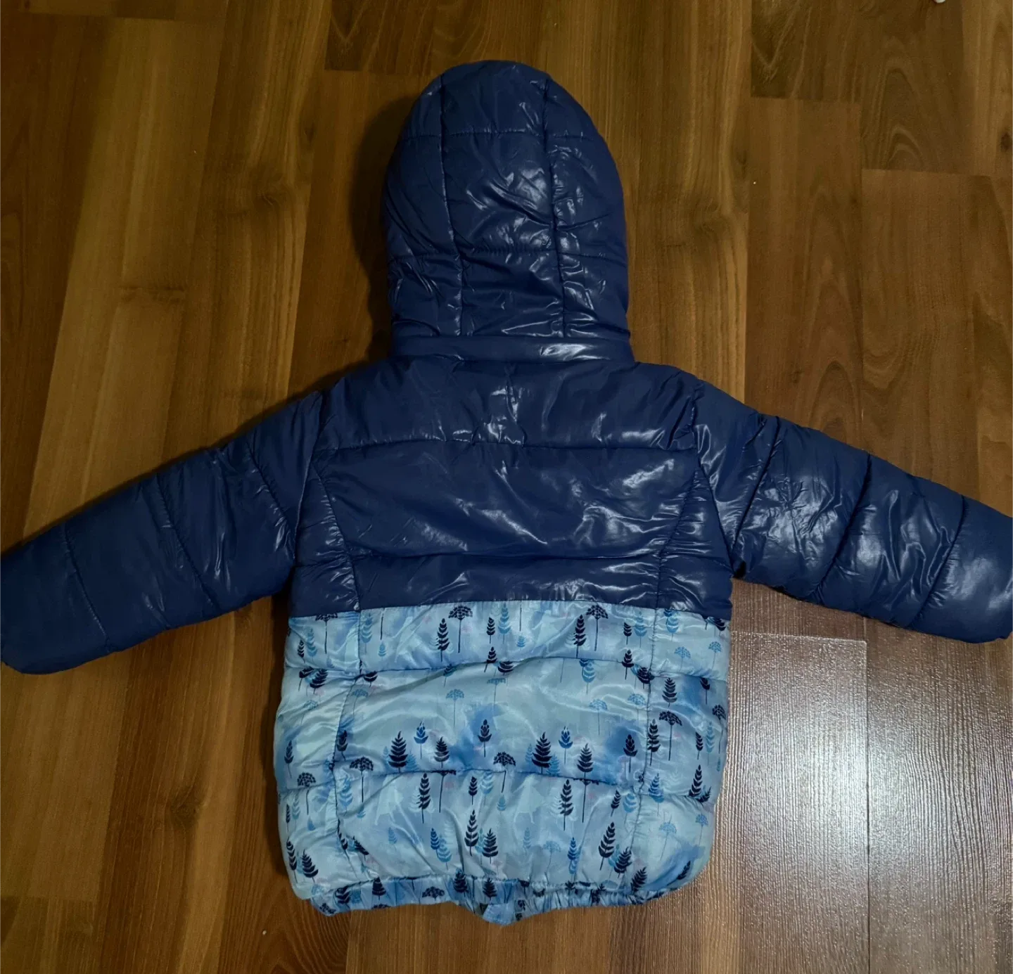 Disney frozen Kids Puffer Jacket - Blue image indicator(2)