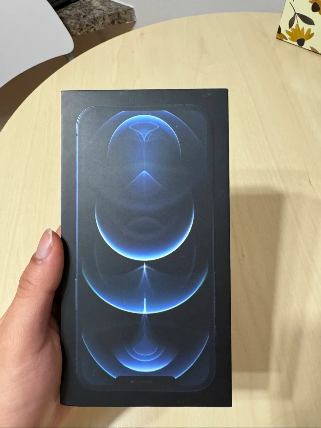 iPhone 12 Pro Max empty box