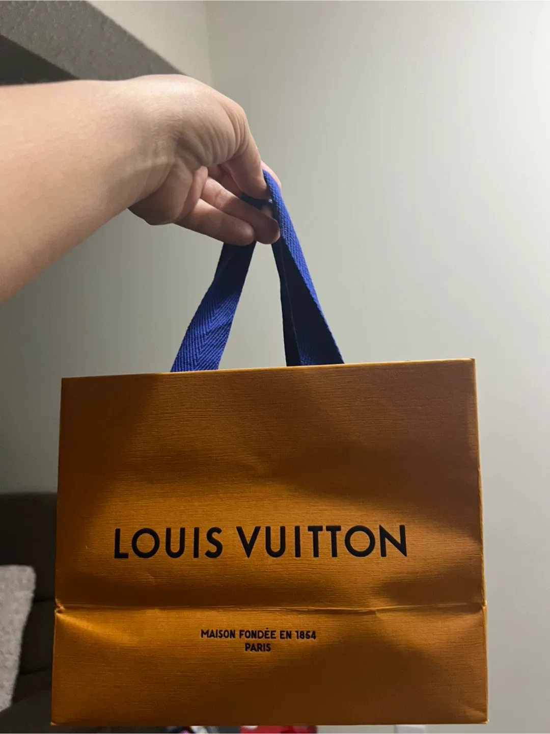 Louis Vuitton Damier Ebene Pochette Accessories NM image indicator(9)