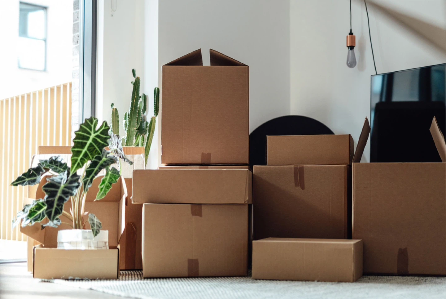Moving boxes!