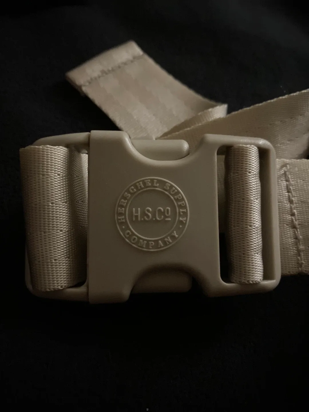 Herschel Supply Co. Beige Fanny Pack image indicator(2)
