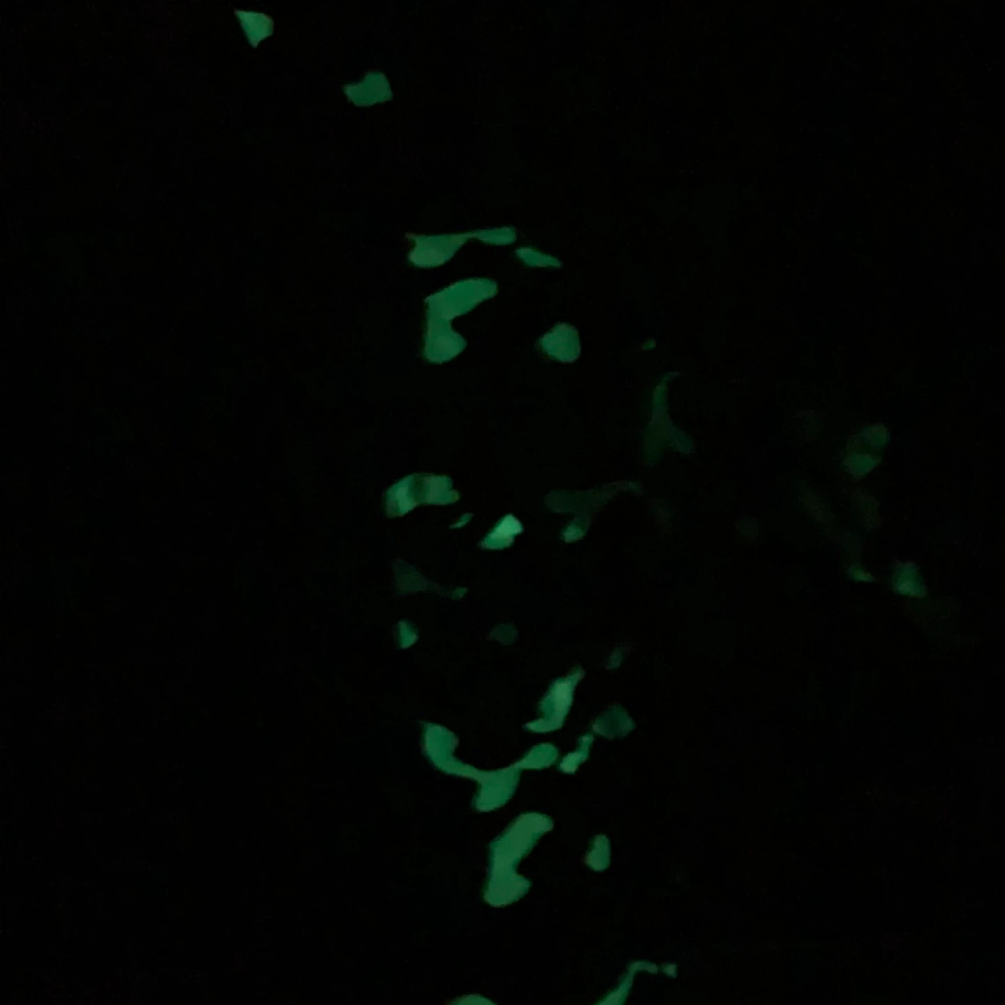 BAPE Black Camo Shark Full Zip Hoodie - photo 5