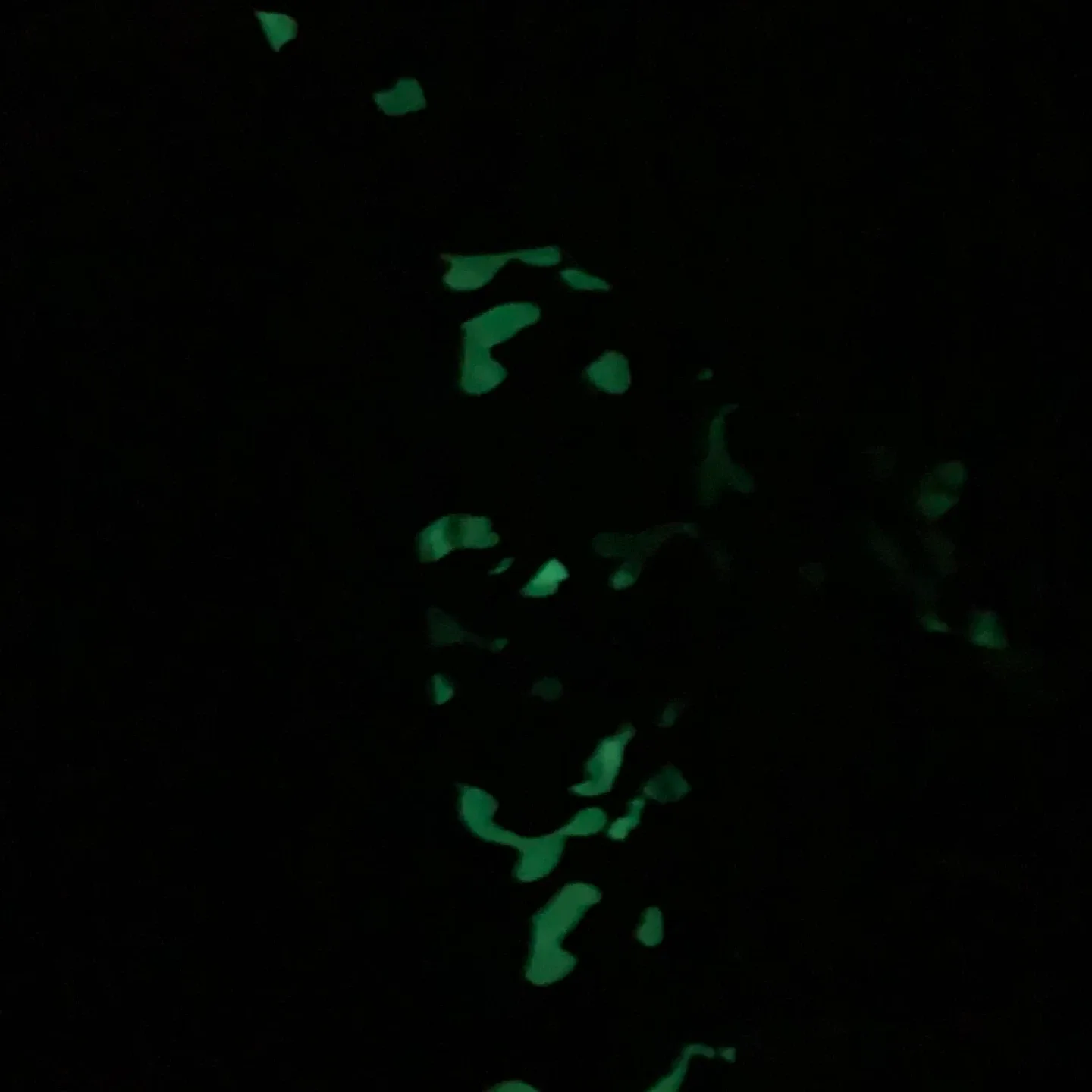 BAPE Black Camo Shark Full Zip Hoodie image indicator(5)