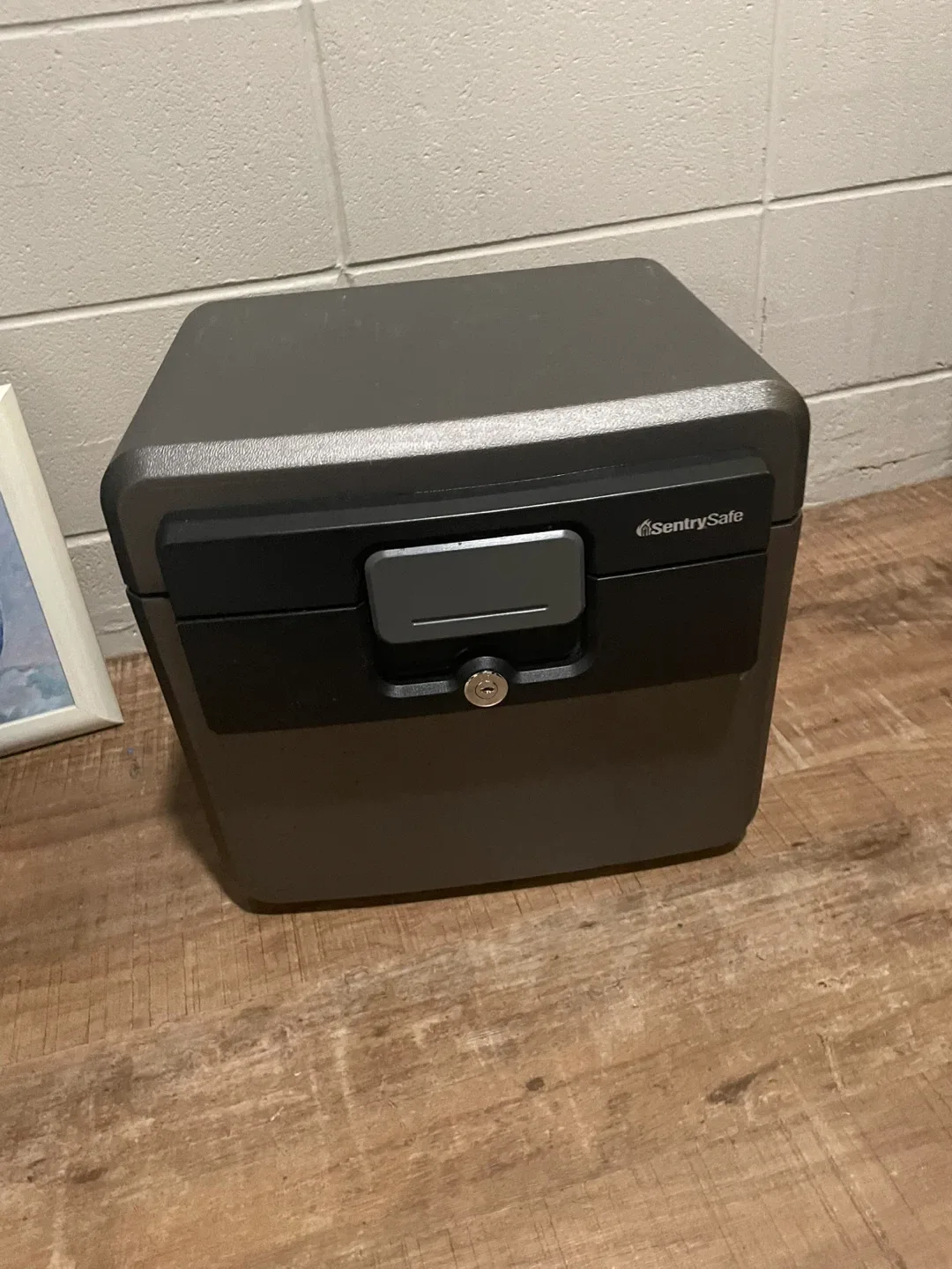 Sentry Safe Fireproof and Waterproof HD4100
