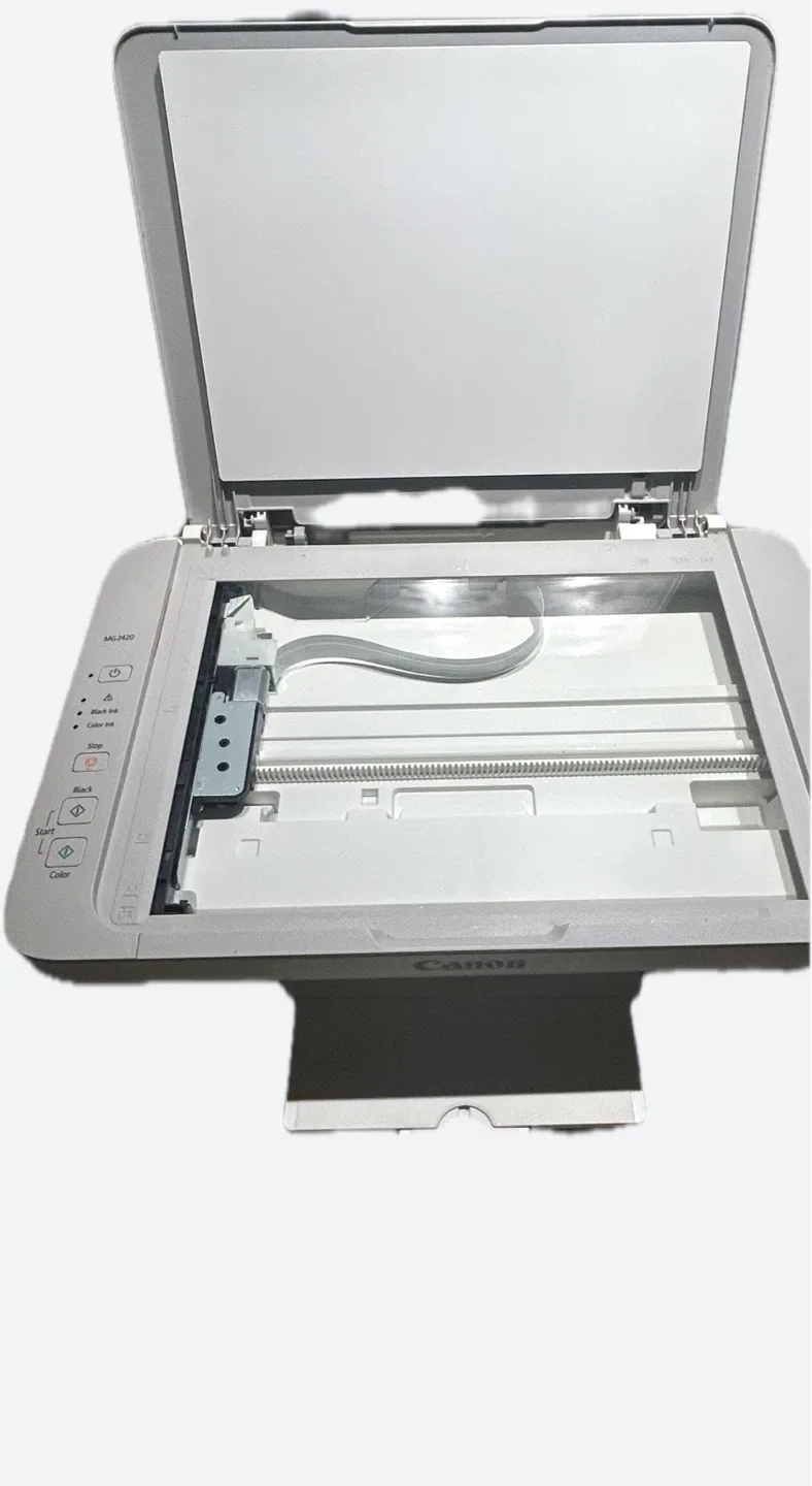 Canon PIXMA MG2420 Printer