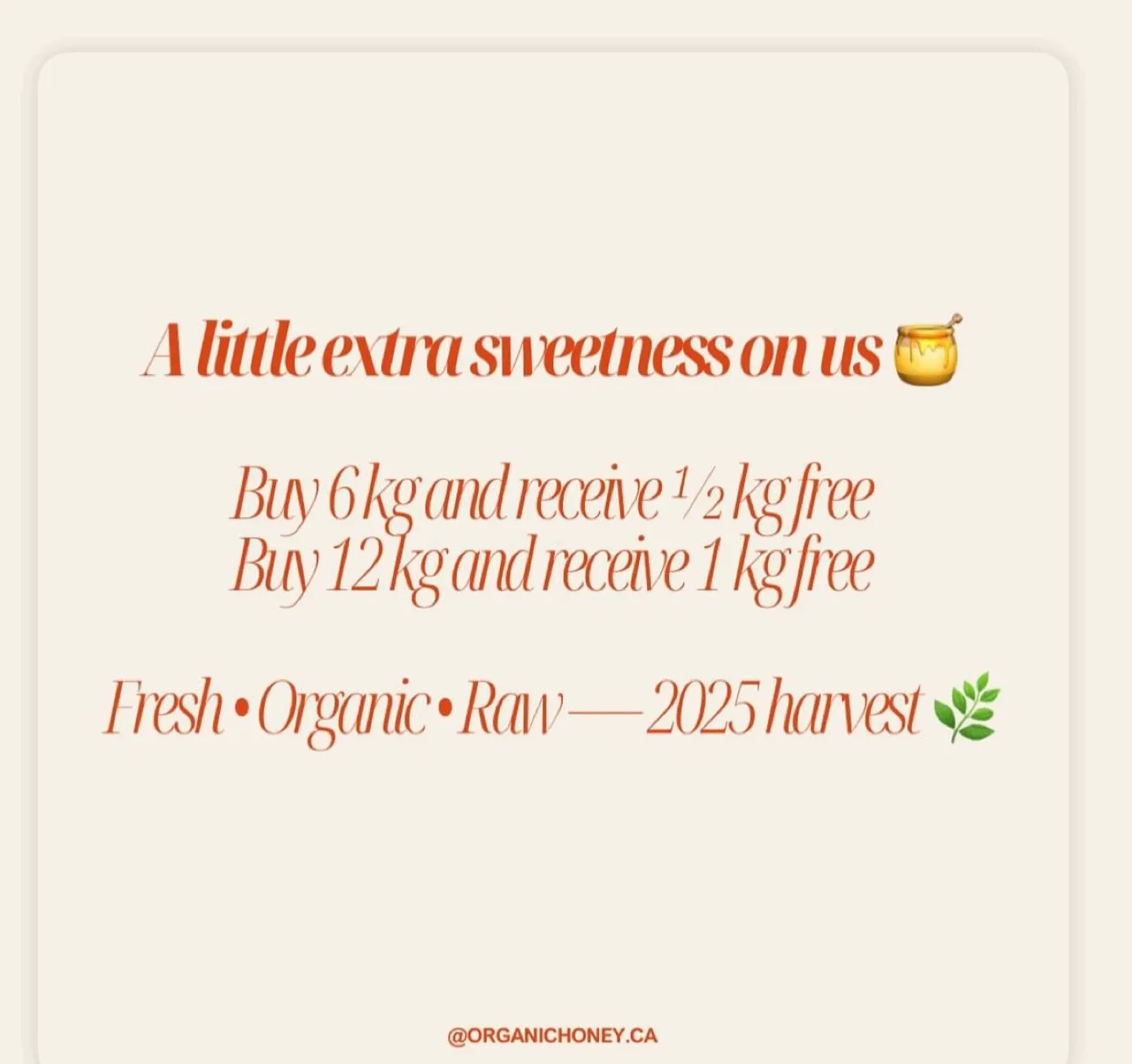 Organic Honey Gift Basket image indicator(9)