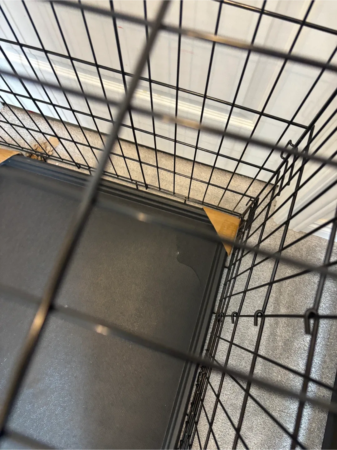 Feandrea XL Foldable Dog Kennel/Cage 42H image indicator(6)