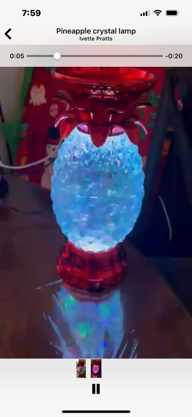 Ivette Pratts Pineapple Crystal Lamp - photo 2