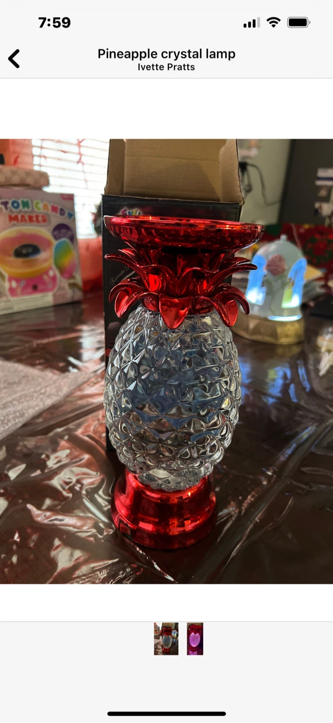 Ivette Pratts Pineapple Crystal Lamp