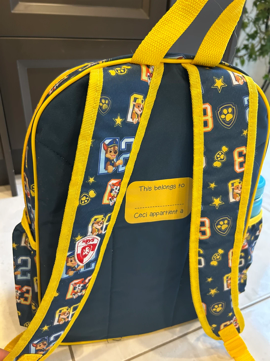 Paw Patrol Backpack - Kids School Bag - photo 5