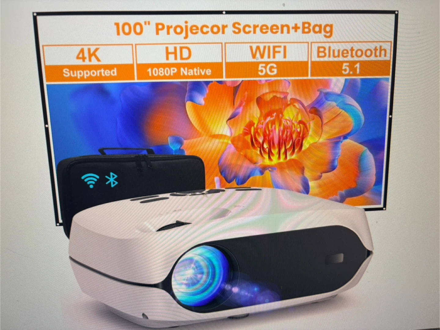 LED Projector Model F5