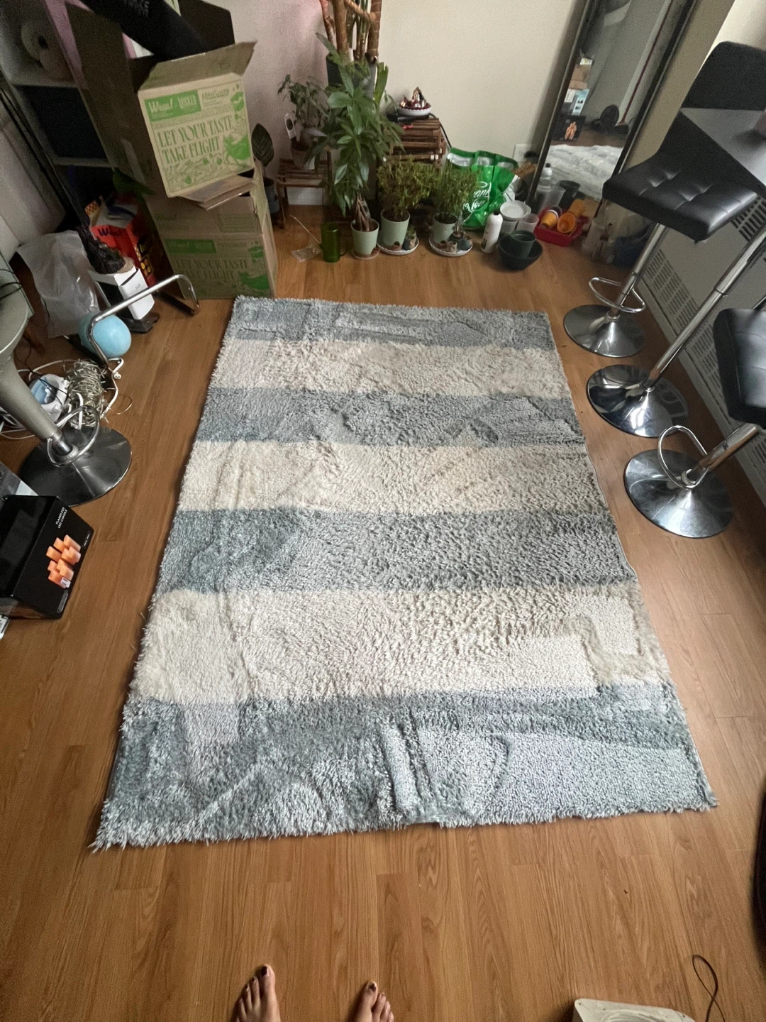 Priscilla Decorative Area Rug 5'3" x 7'2" Cream Blue