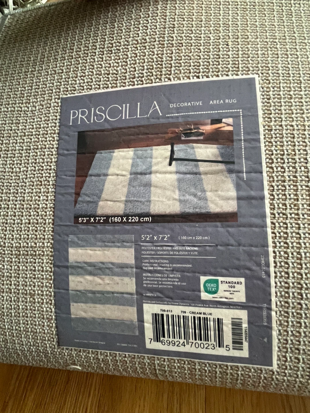 Priscilla Decorative Area Rug 5'3" x 7'2" Cream Blue - photo 4