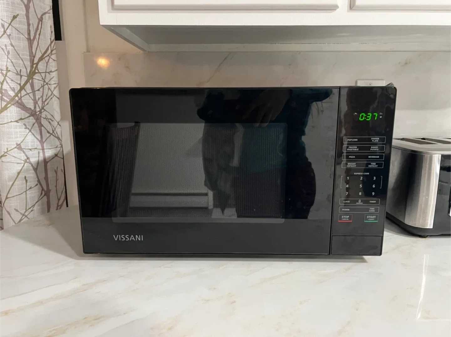 Vissani Microwave Oven