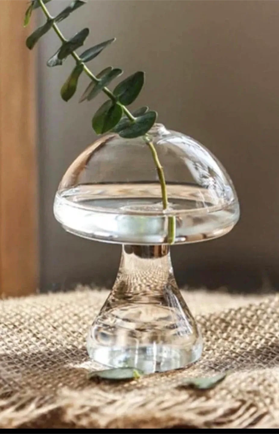 Mushroom plant holder image indicator(3)