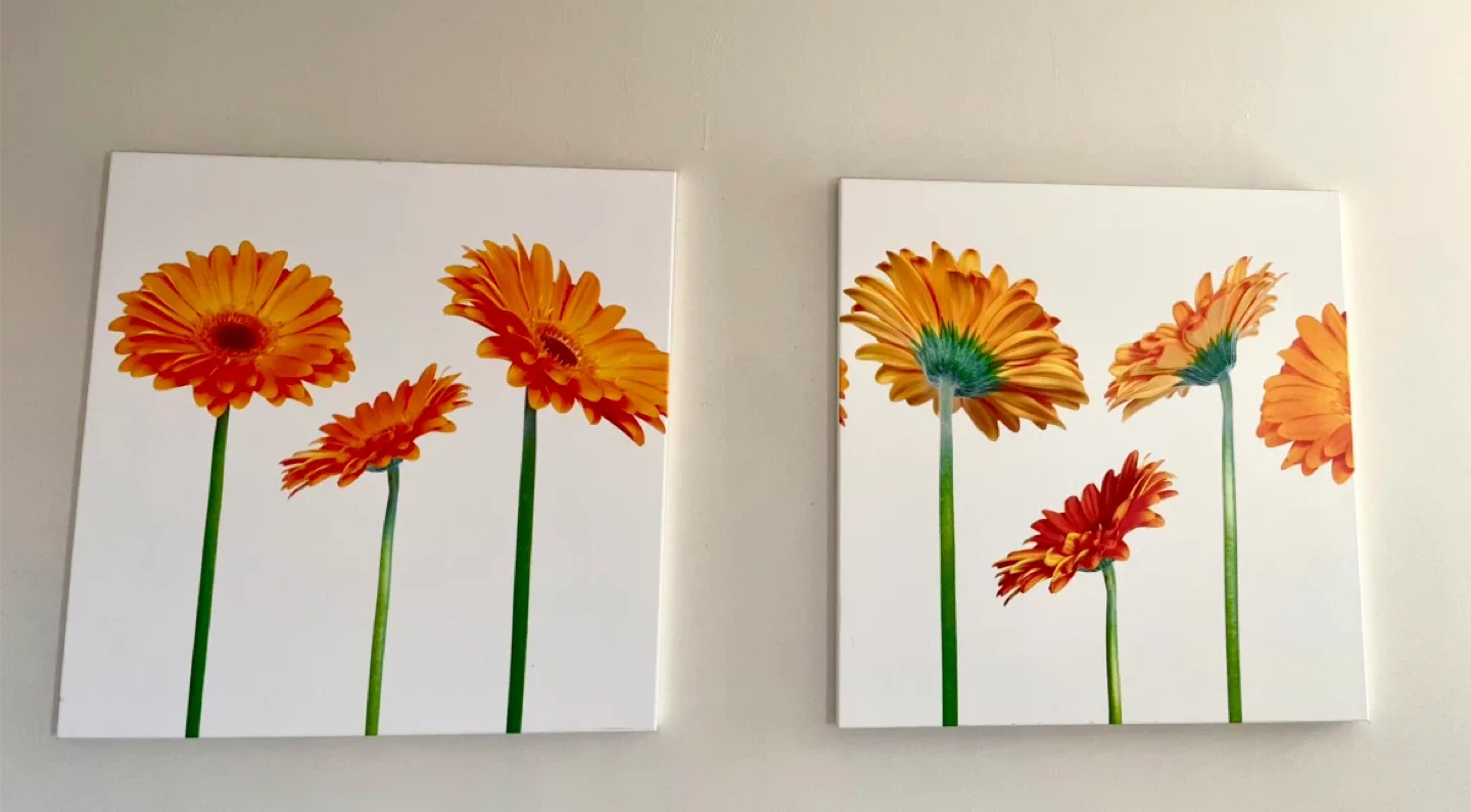 Floral Wall Art - Set of 2
