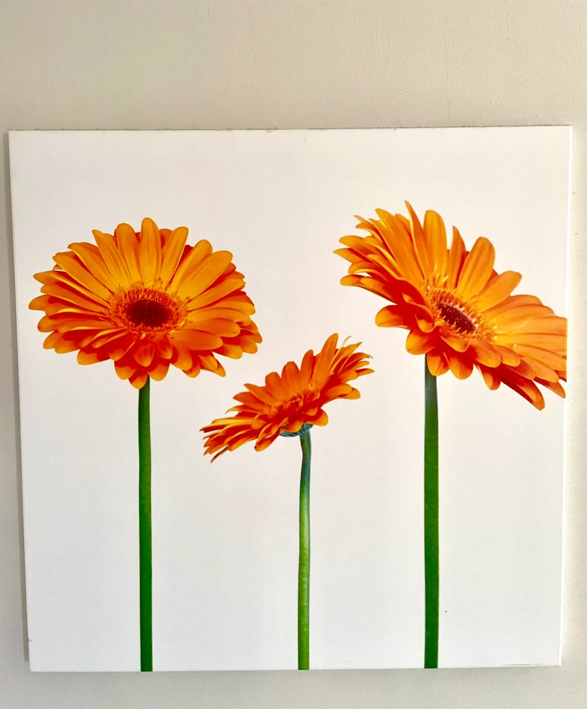 Floral Wall Art - Set of 2 image indicator(2)