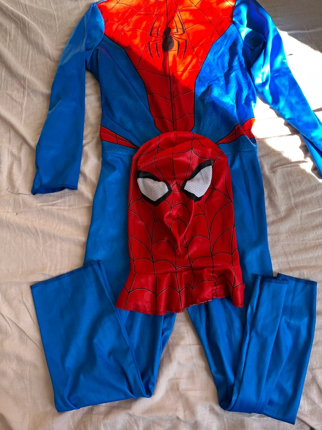 Spider-Man Costume