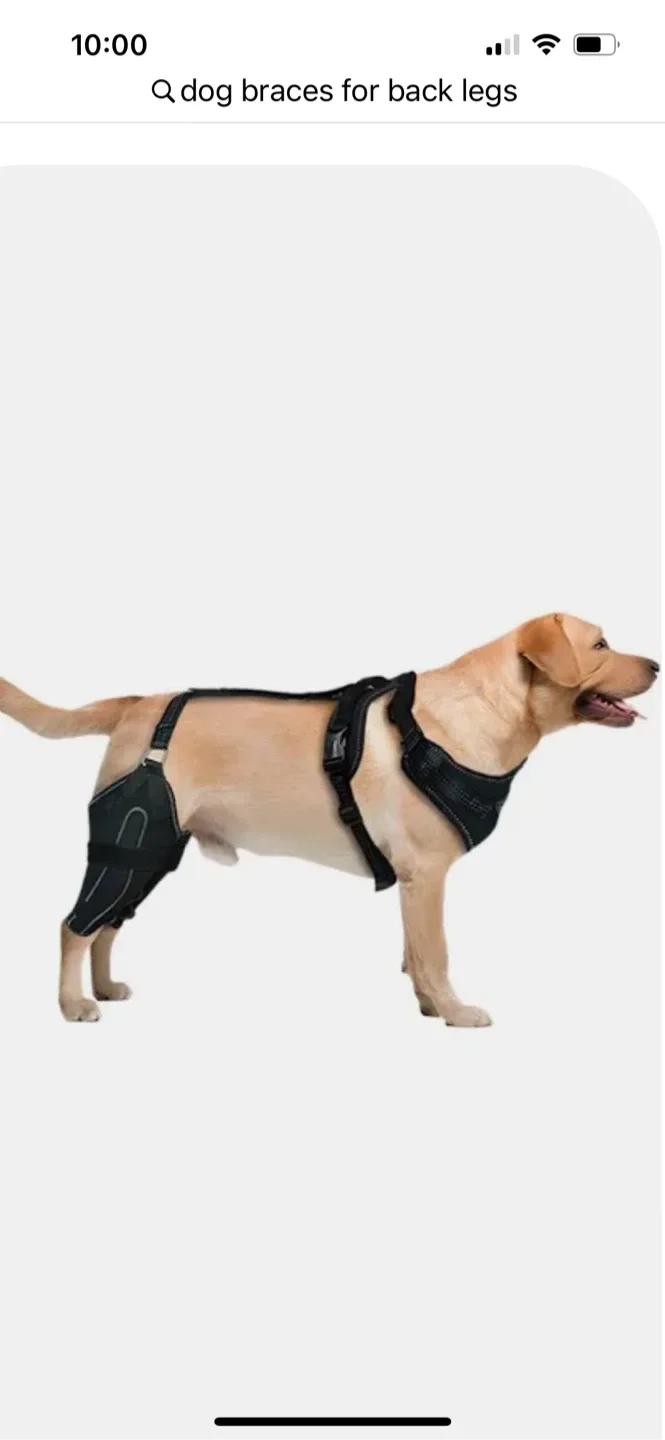 Dog Braces for Back Legs