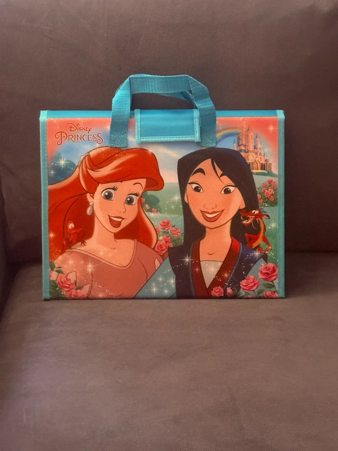 Disney Princess Color & Activity Book Set