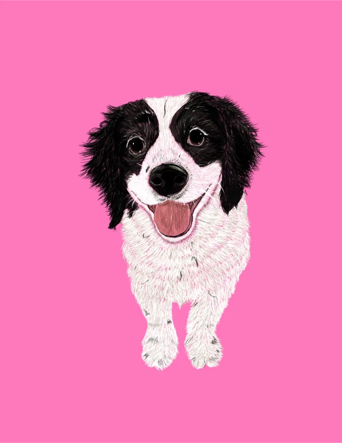 Pet portraits image indicator(4)