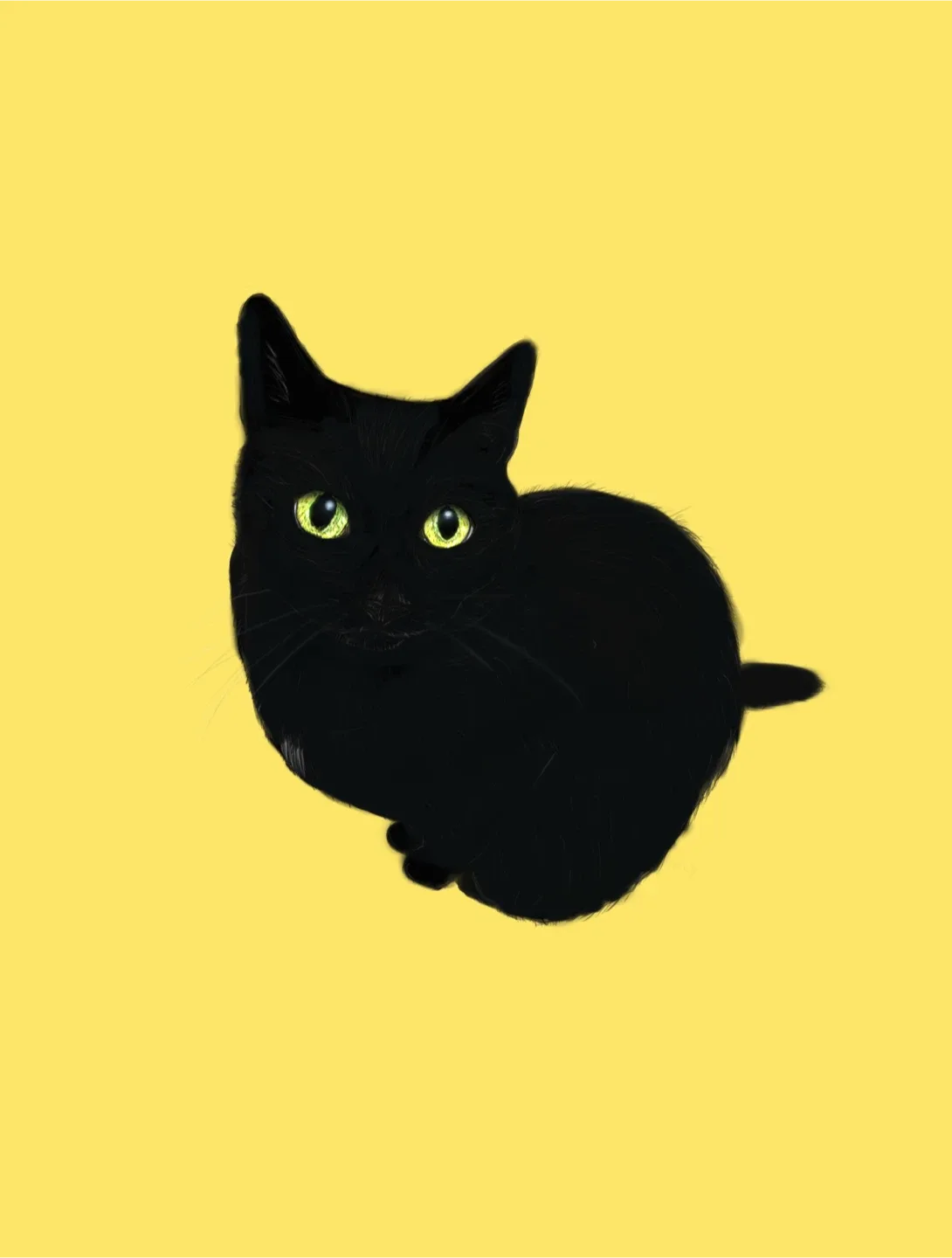 Pet portraits image indicator(5)