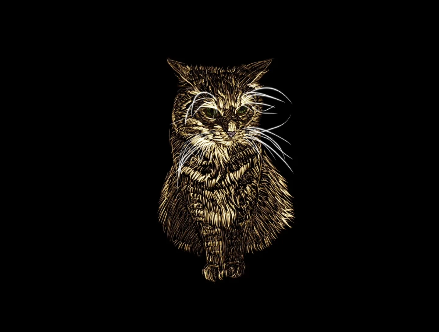 Pet portraits image indicator(6)