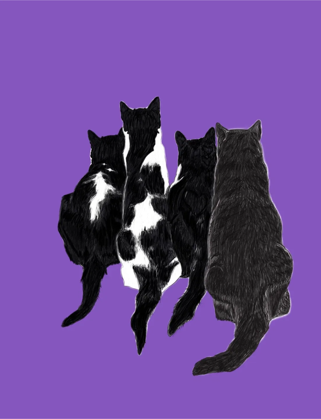 Pet portraits image indicator(7)