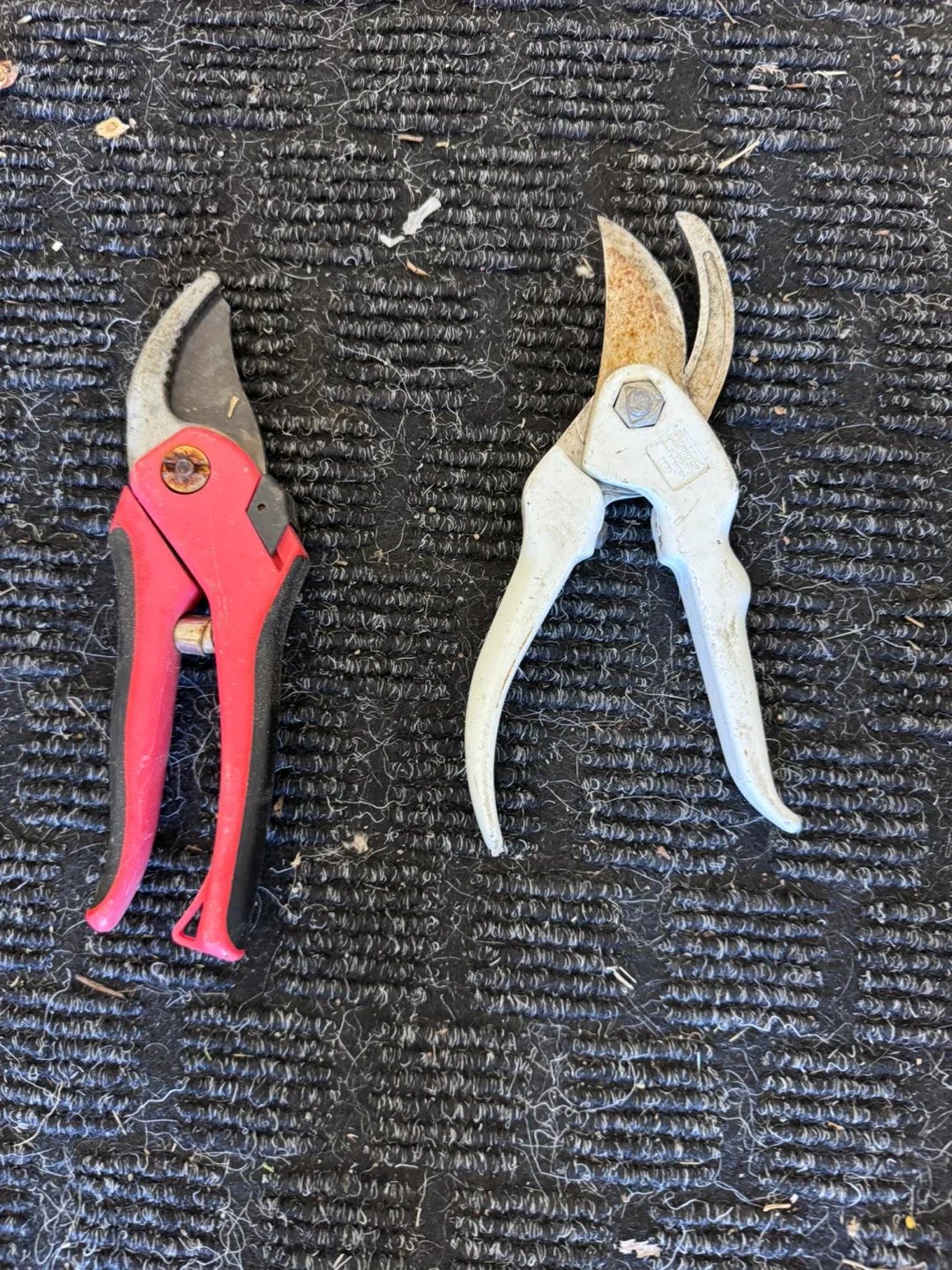 Gardening Pruning Shears