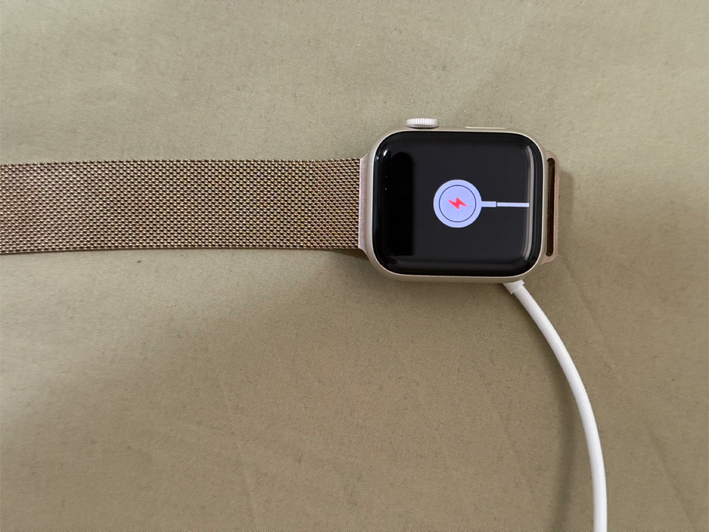 Apple Watch with Milanese Loop - photo 2