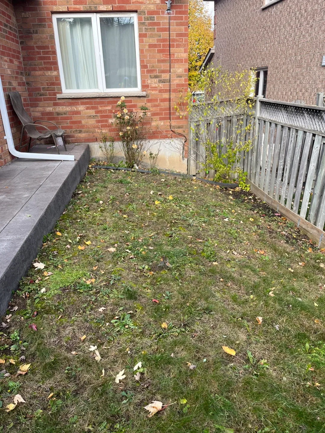 JOB TITTLE image indicator(2)