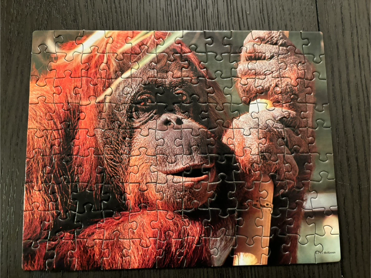 Set of 6 Animal Image Puzzles - photo 4