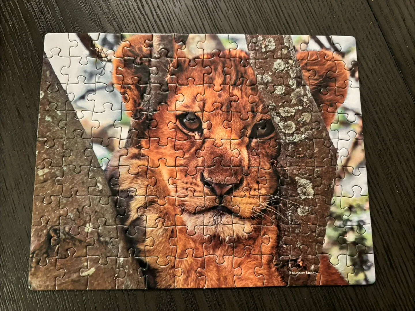 Set of 6 Animal Image Puzzles