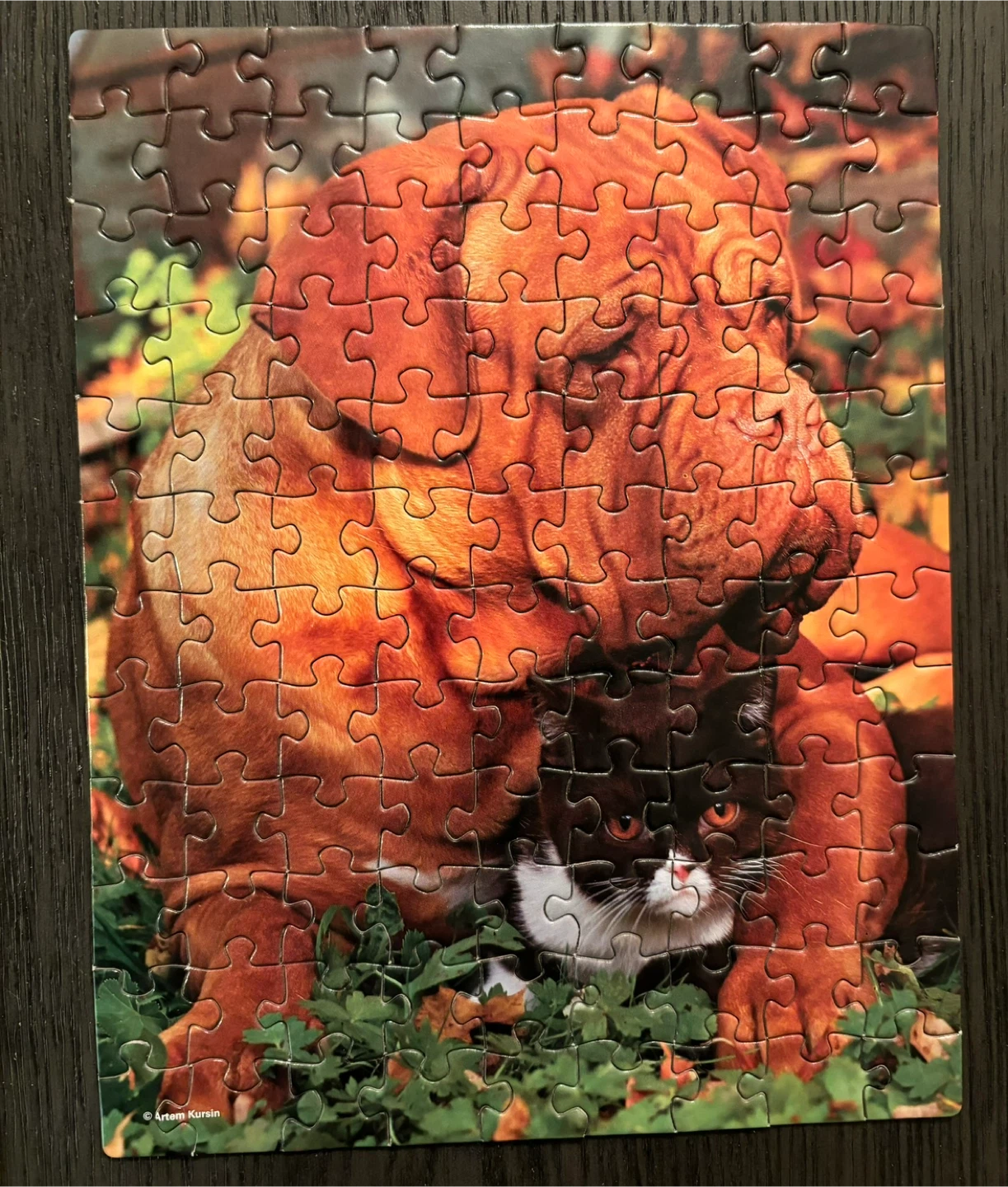Set of 6 Animal Image Puzzles - photo 5