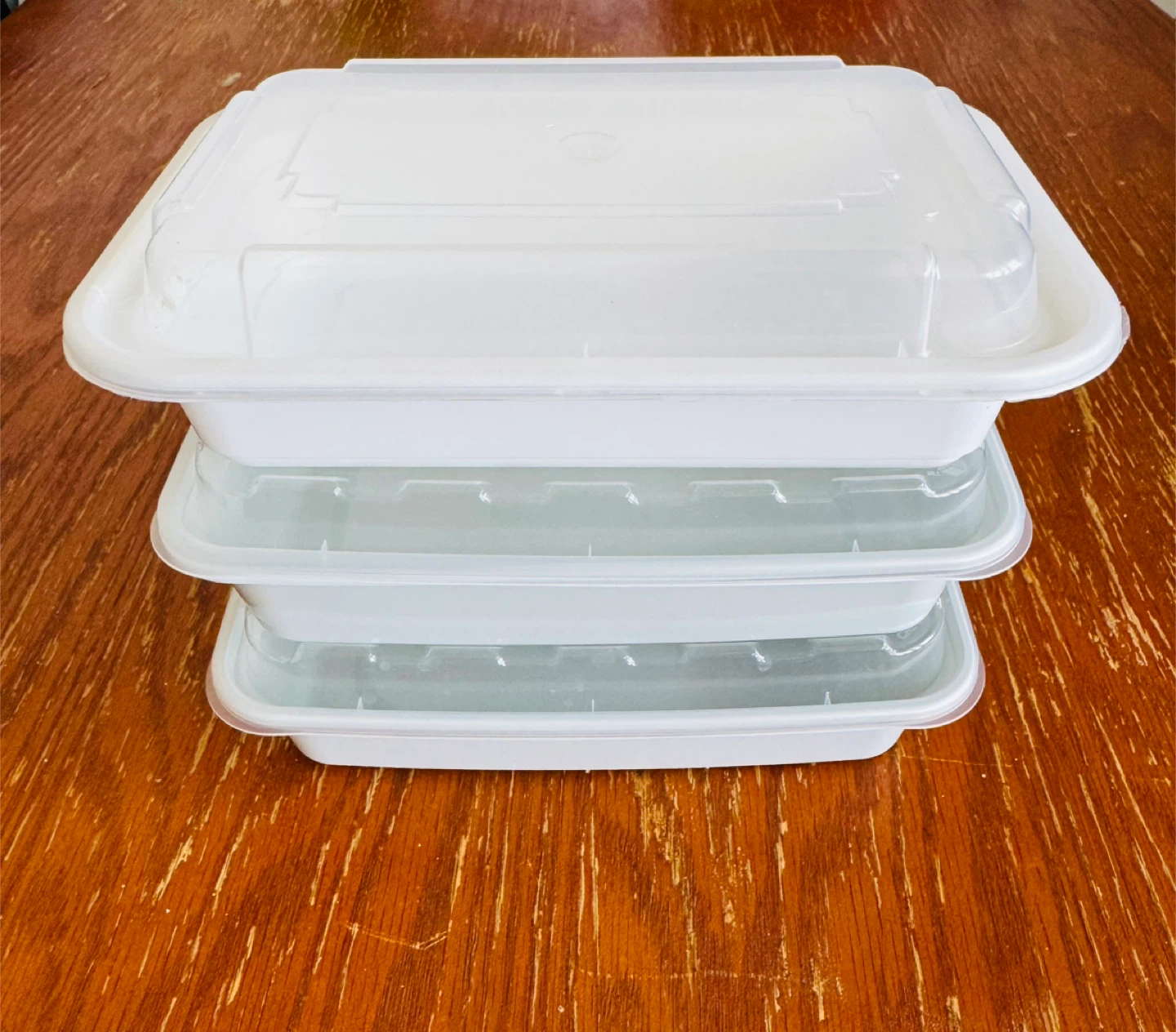 White plastic Food Containers with Lids - Set of 3