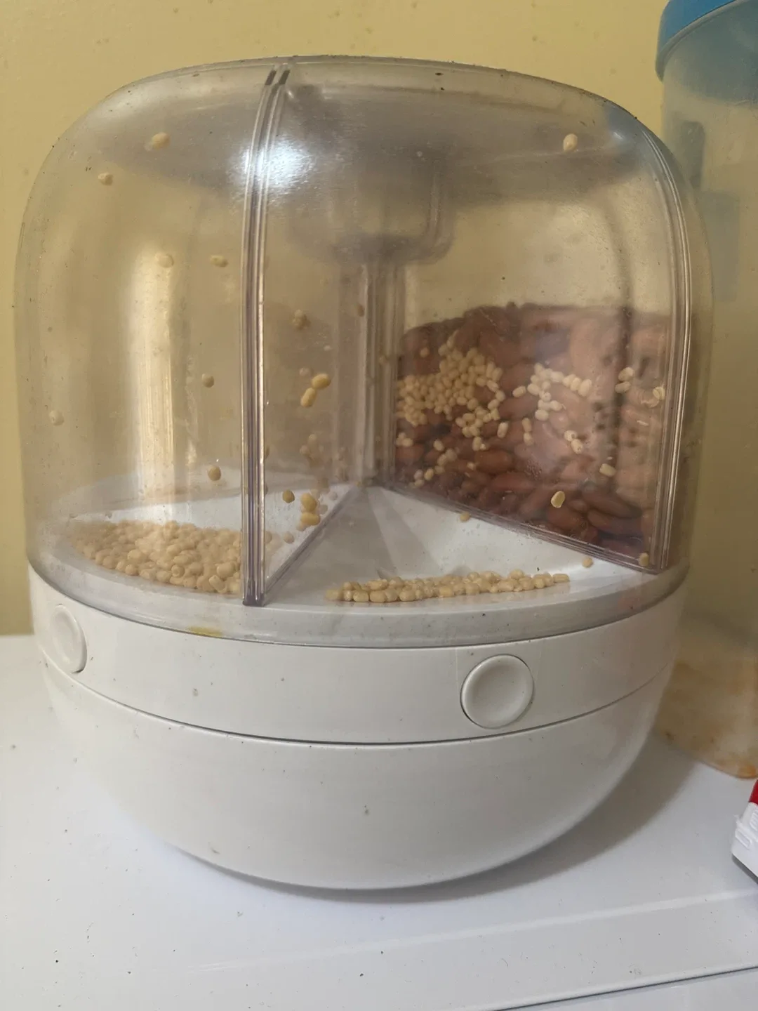 Automatic Pet Food Dispenser