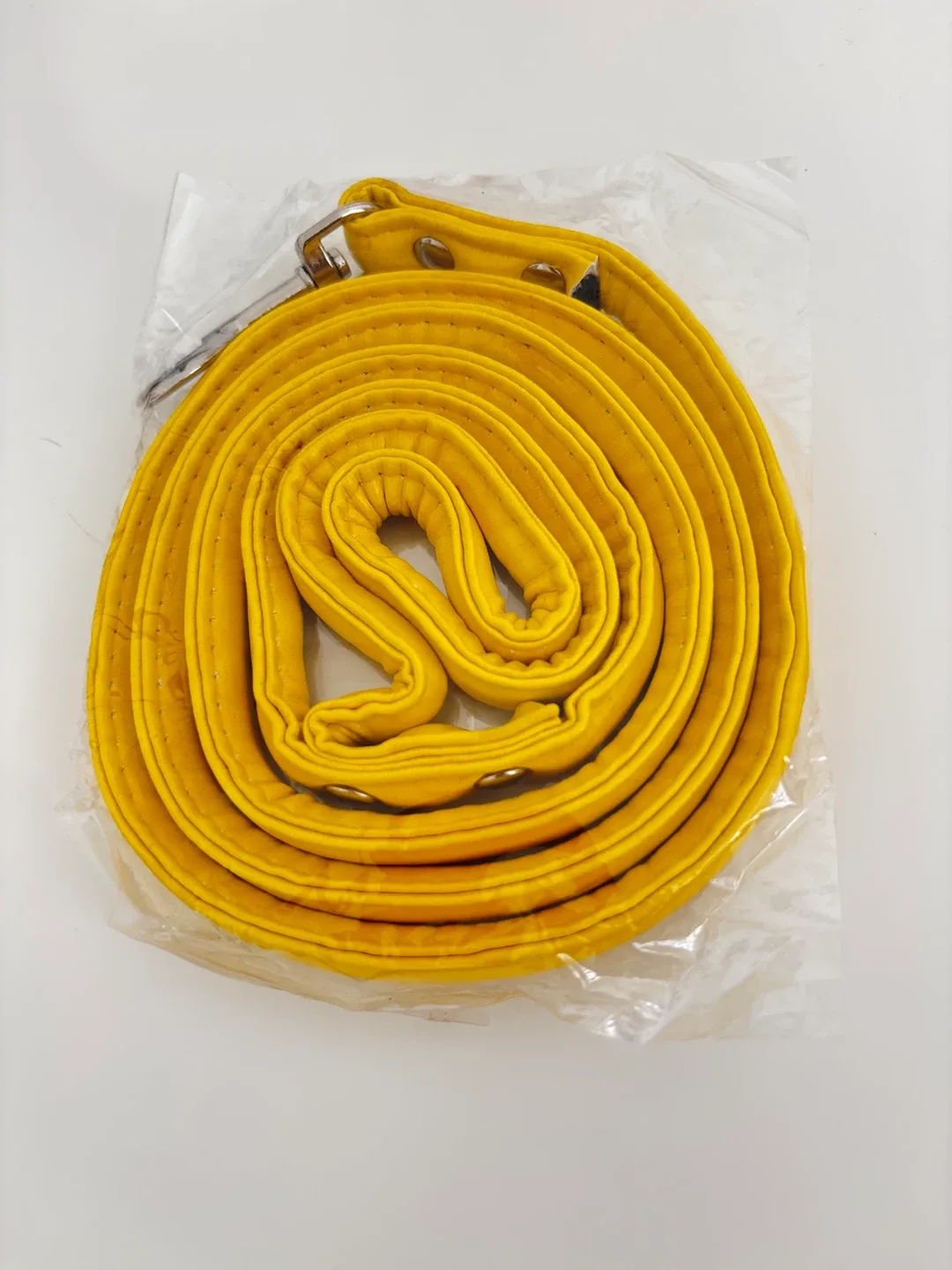 Yellow Dog Leash