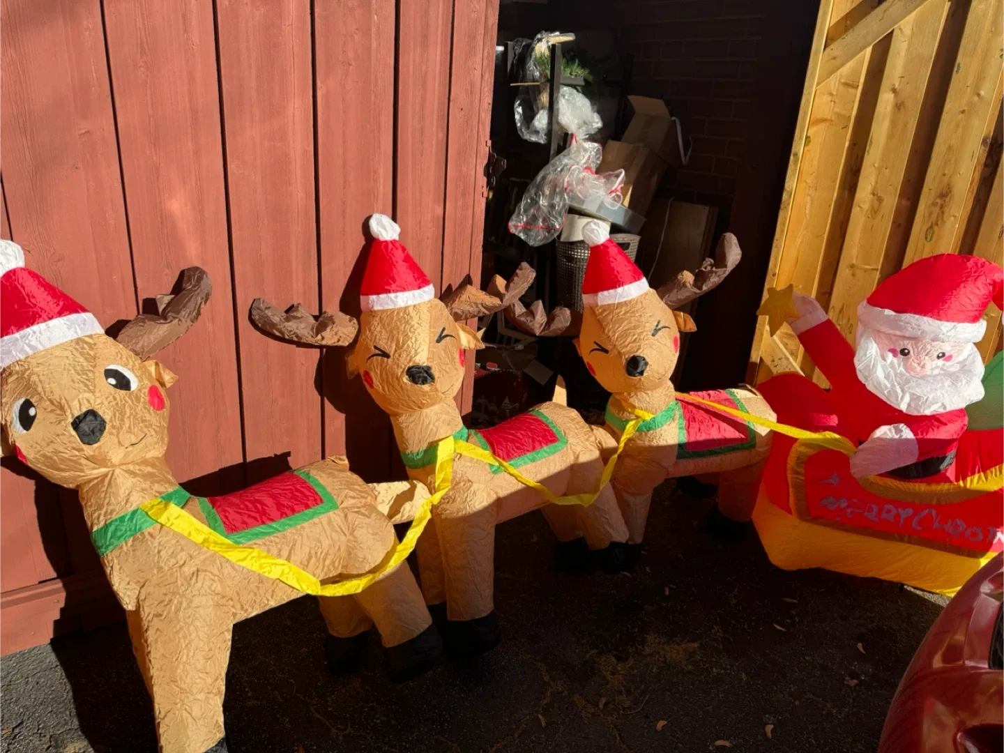 Christmas Reindeer & Santa Decoration