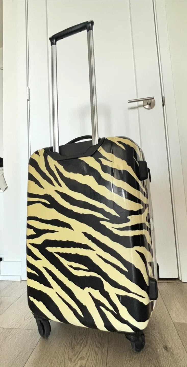 22 Inch Carry-on Luggage with TSA Lock image indicator(4)