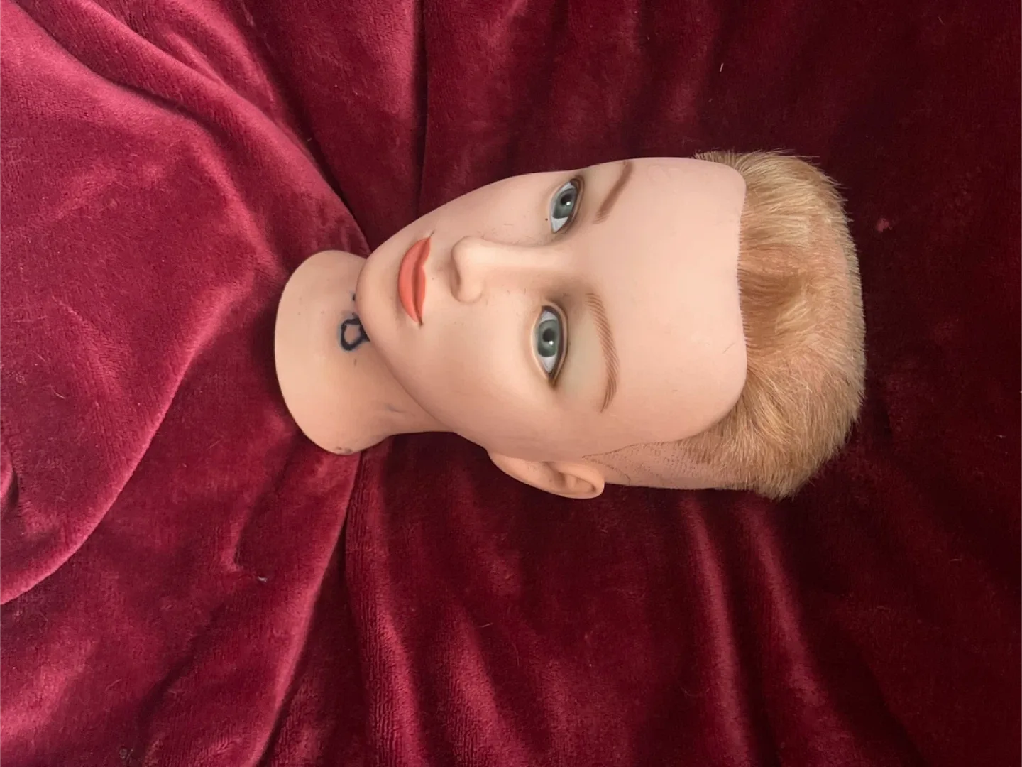 Mannequin head with hair image indicator(5)