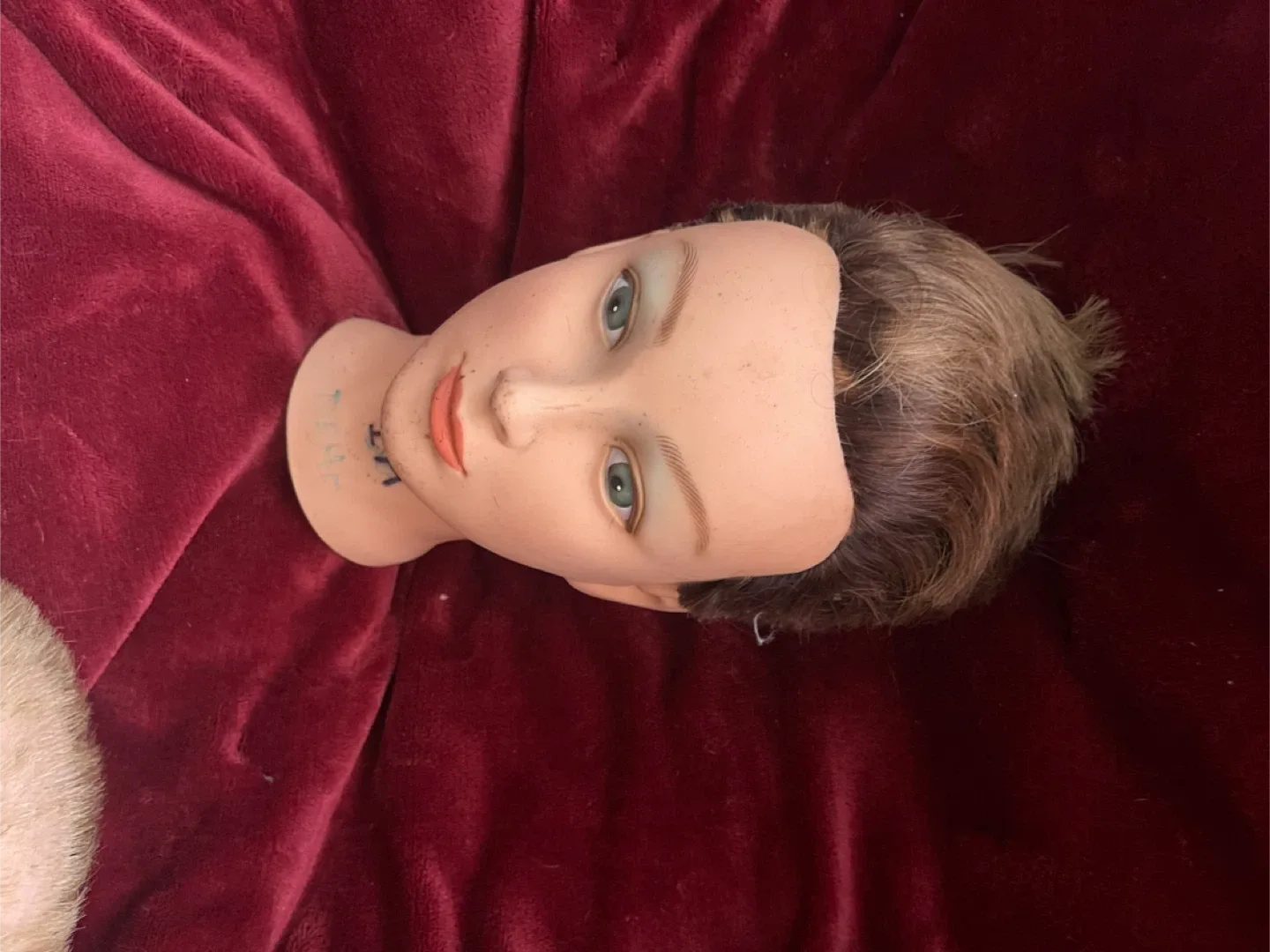 Mannequin head with hair image indicator(2)