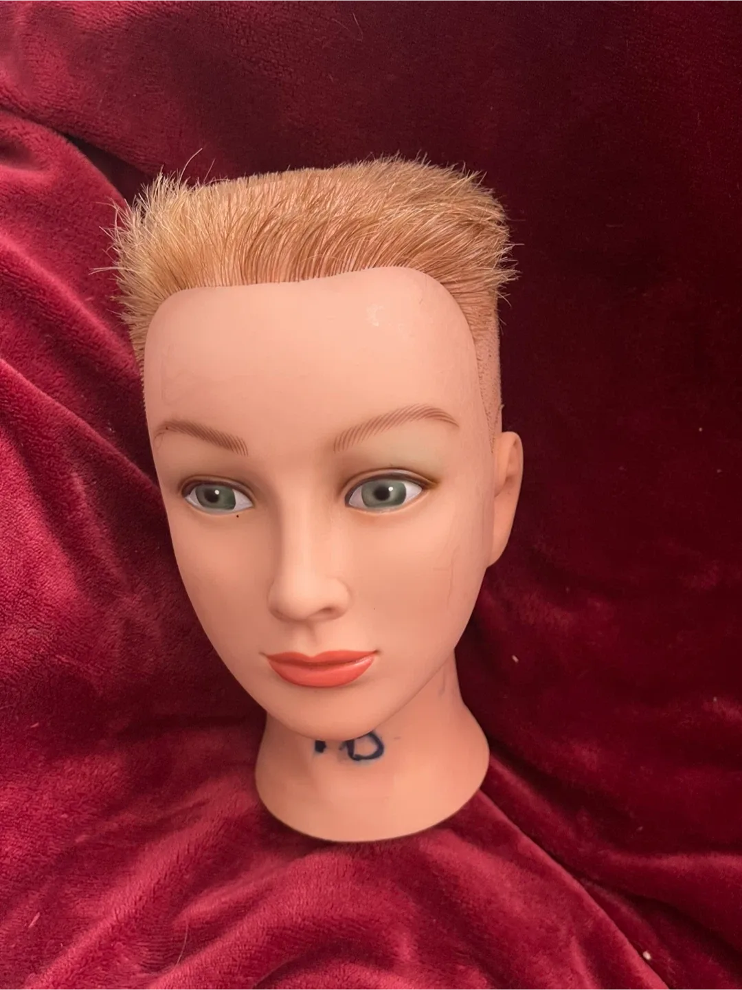 Mannequin head with hair image indicator(3)