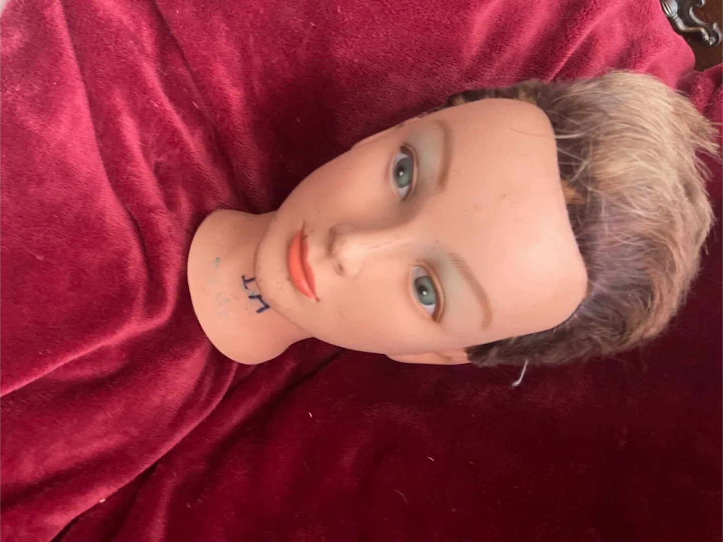 Mannequin head with hair image indicator(9)