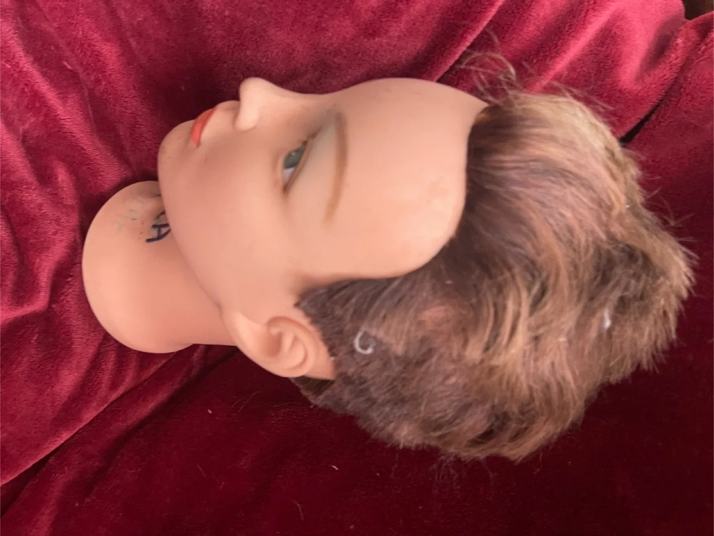 Mannequin head with hair image indicator(8)